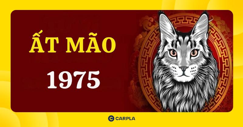 Hình ảnh biểu tượng sự nghiệp và tài lộc gắn liền với yếu tố nước hoặc kim loại, thể hiện sự ổn định và phát triển của người tuổi Ất Mão 1975